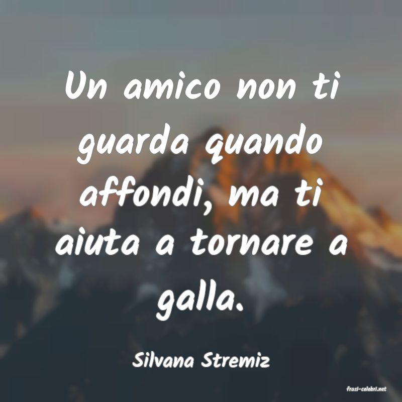 frasi di Silvana Stremiz