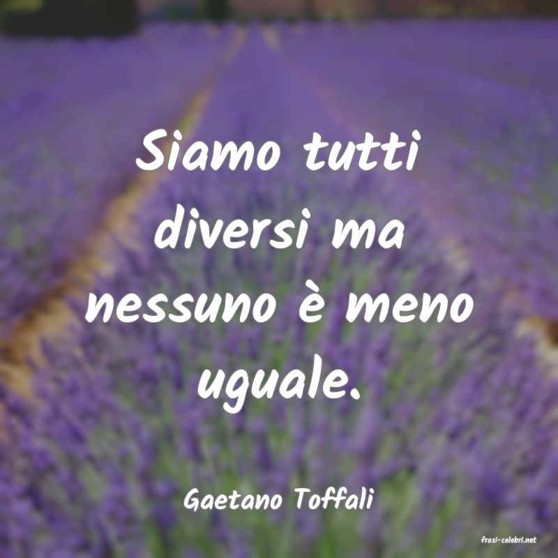 frasi di Gaetano Toffali