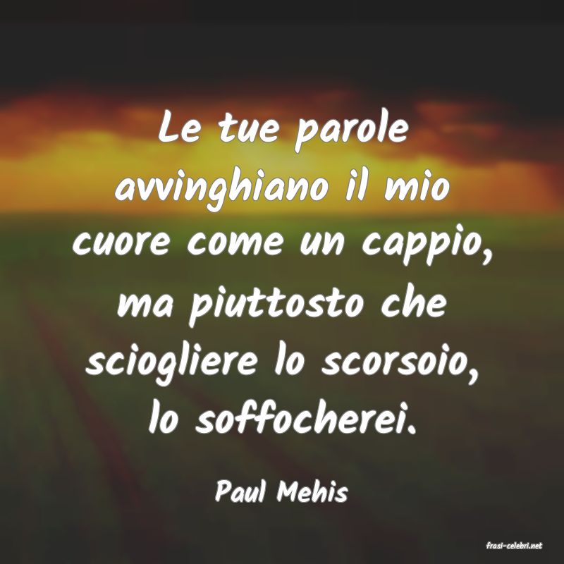 frasi di  Paul Mehis
