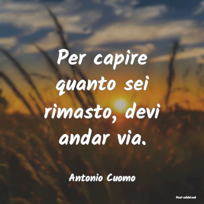 frasi di  Antonio Cuomo

