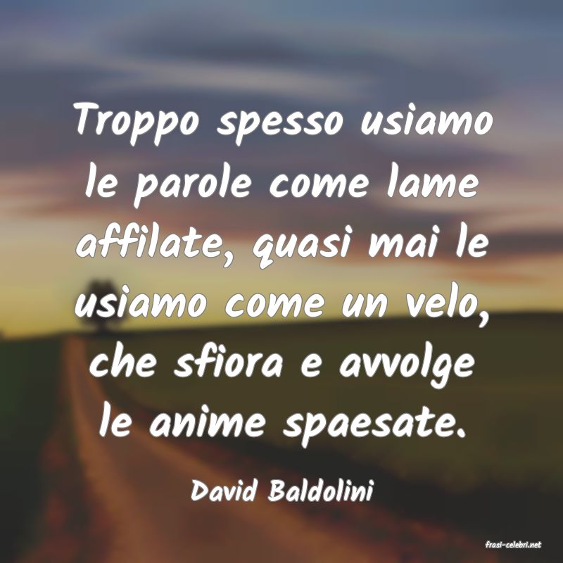 frasi di  David Baldolini
