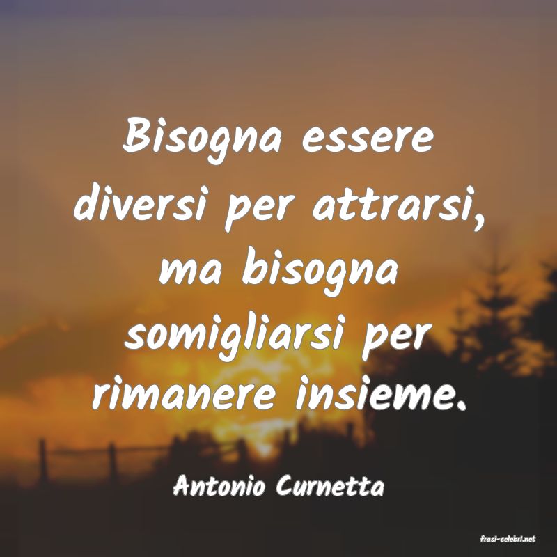 frasi di  Antonio Curnetta
