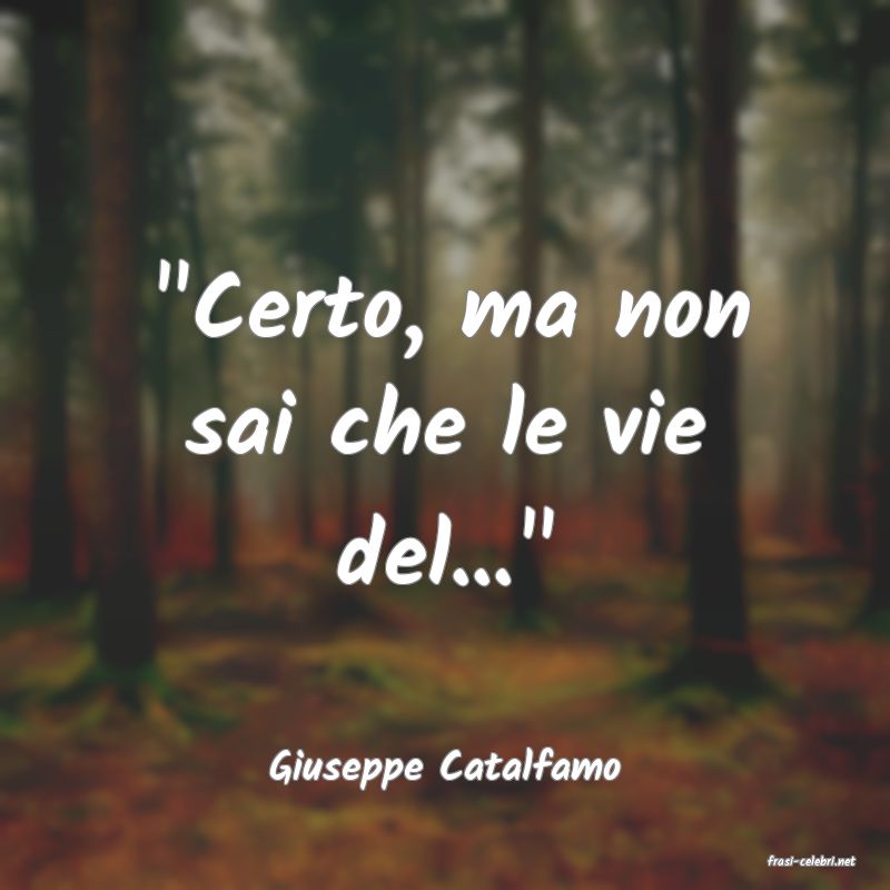 frasi di  Giuseppe Catalfamo
