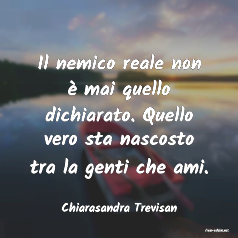 frasi di  Chiarasandra Trevisan
