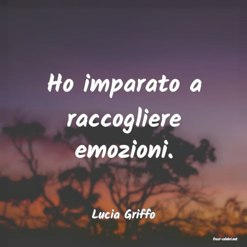 frasi di  Lucia Griffo
