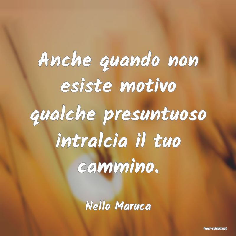 frasi di  Nello Maruca
