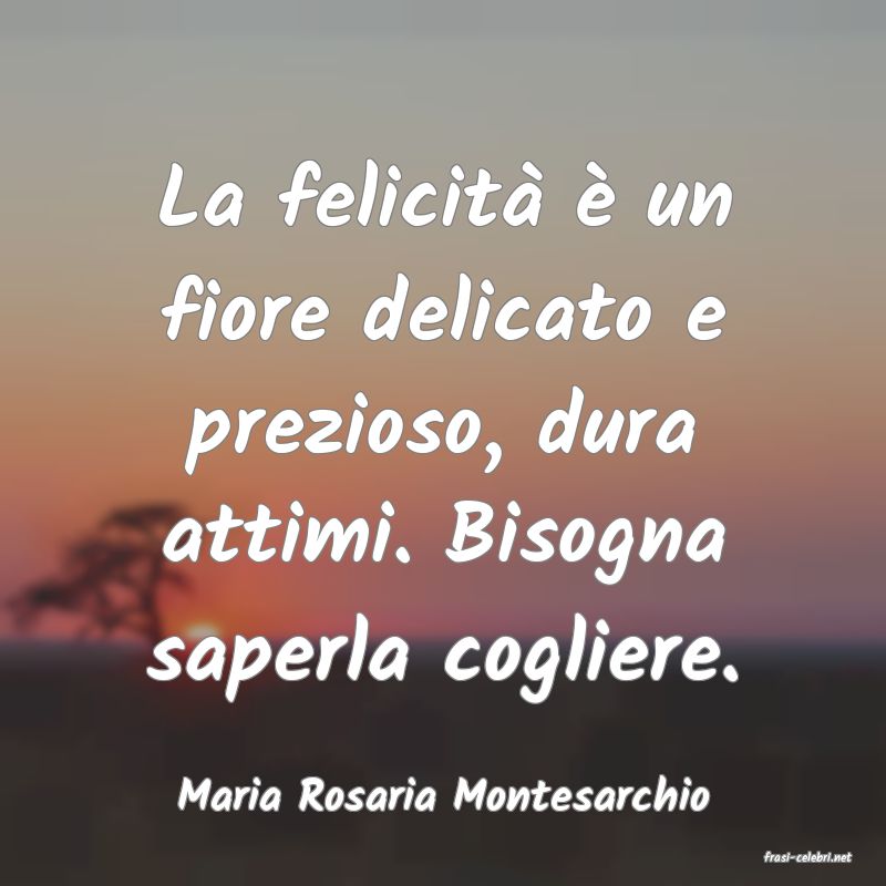 frasi di Maria Rosaria Montesarchio