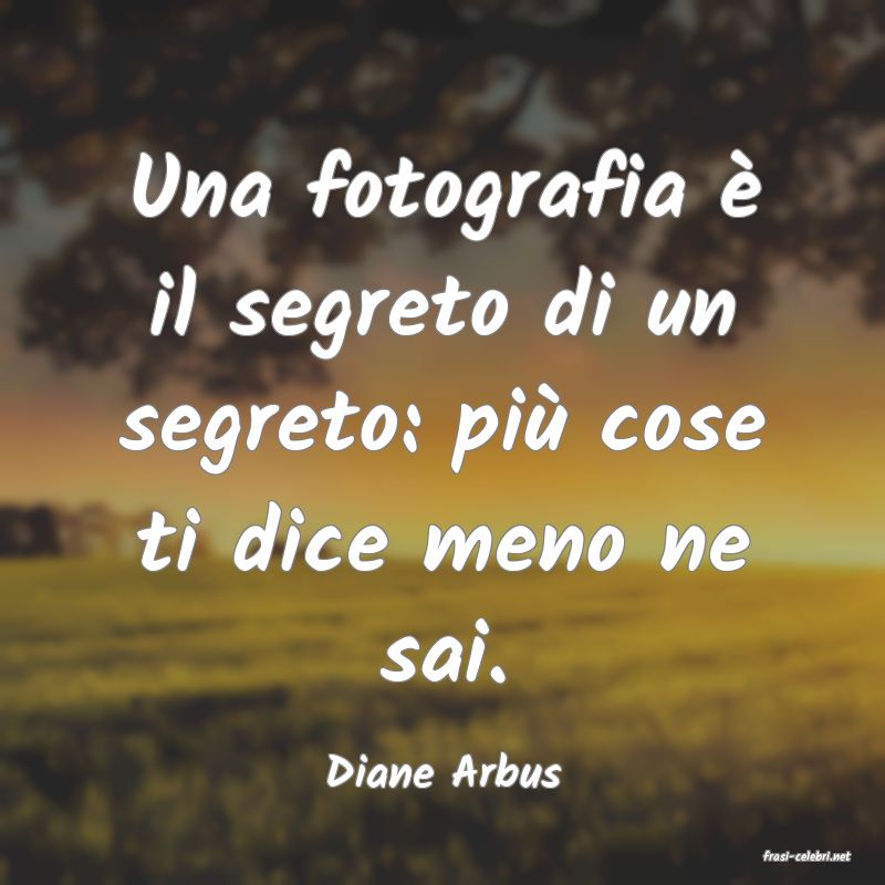 frasi di  Diane Arbus
