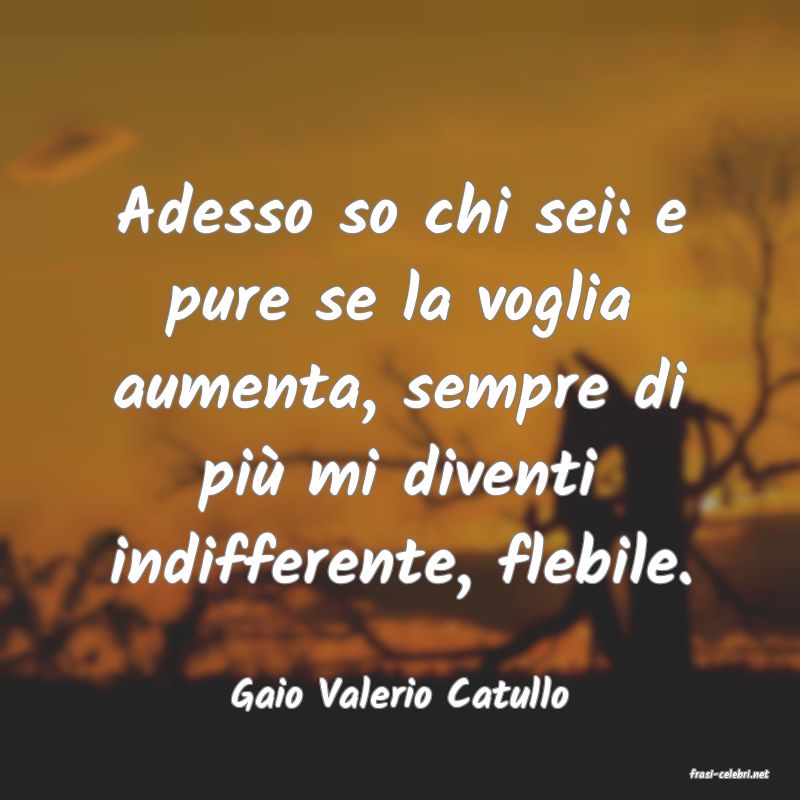 frasi di  Gaio Valerio Catullo
