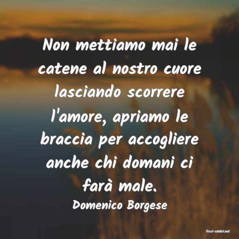 frasi di  Domenico Borgese
