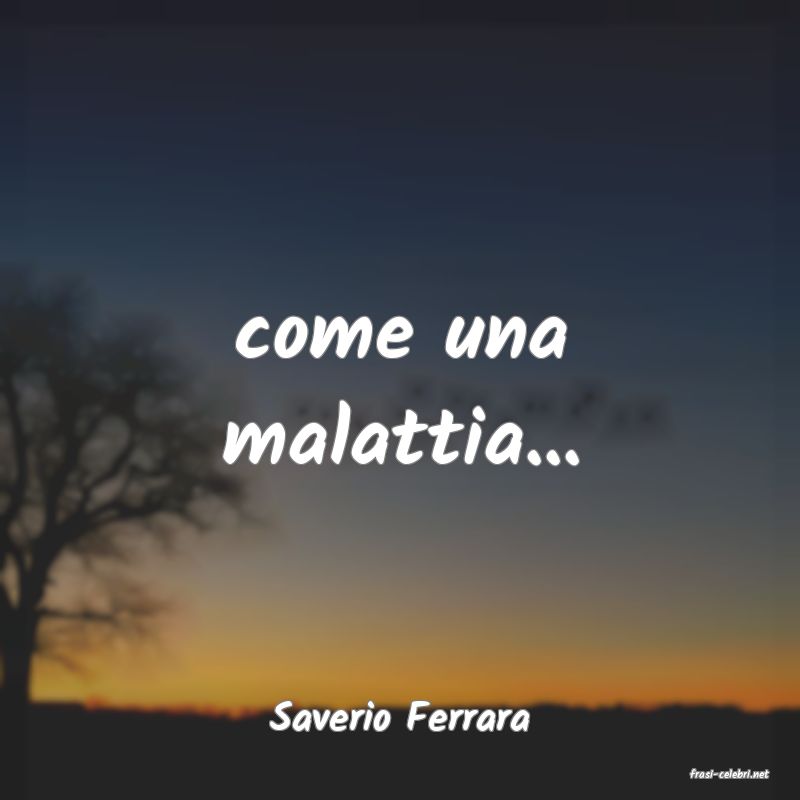 frasi di Saverio Ferrara