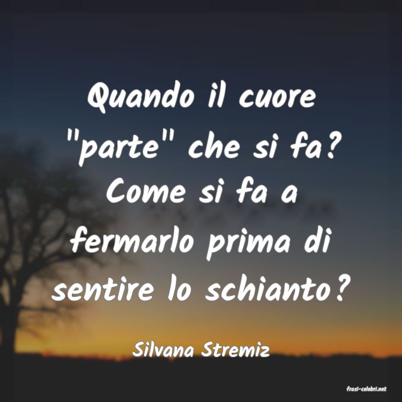 frasi di  Silvana Stremiz
