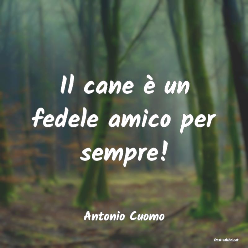 frasi di  Antonio Cuomo

