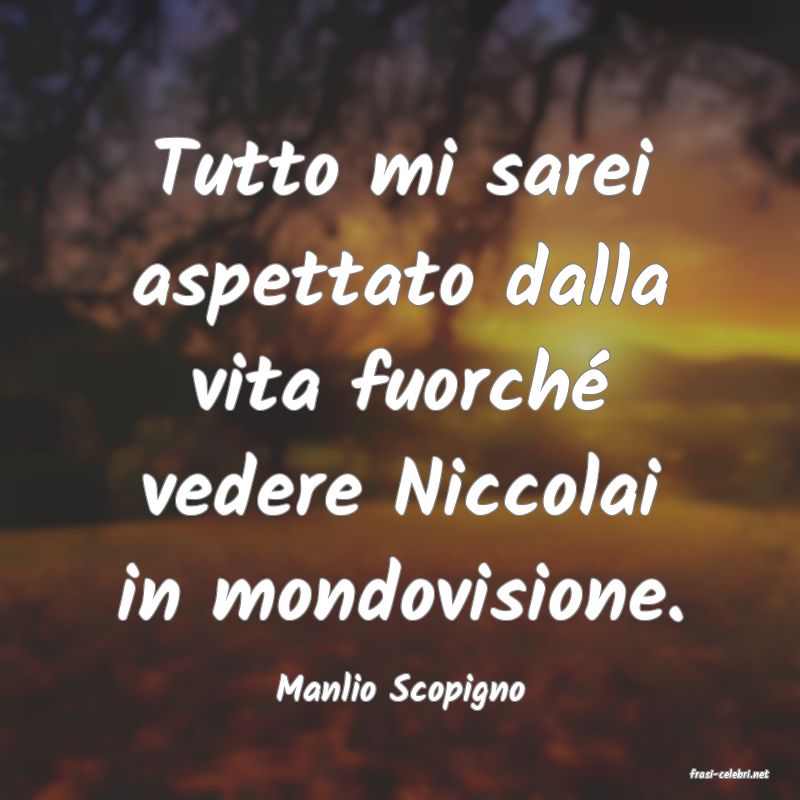 frasi di  Manlio Scopigno
