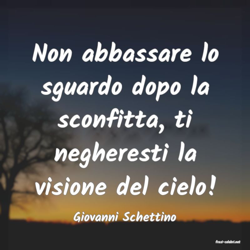 frasi di  Giovanni Schettino
