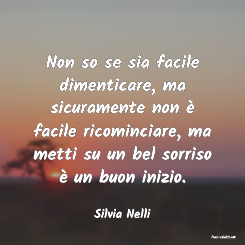 frasi di  Silvia Nelli
