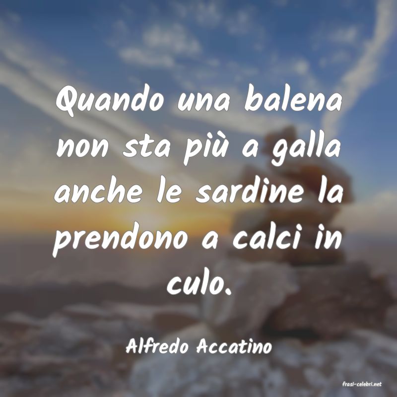 frasi di  Alfredo Accatino
