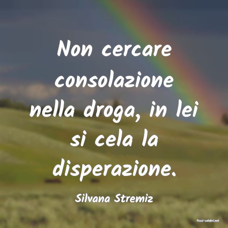 frasi di  Silvana Stremiz
