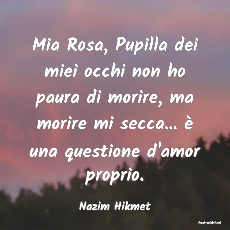 frasi di Nazim Hikmet