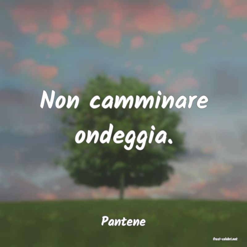 frasi di Pantene