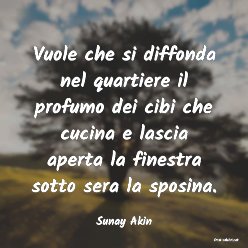 frasi di Sunay Akin