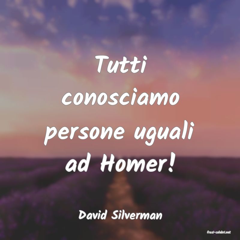 frasi di David Silverman