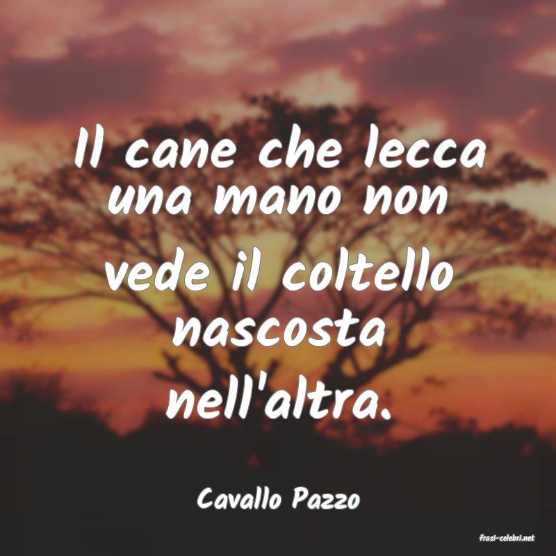 frasi di Cavallo Pazzo