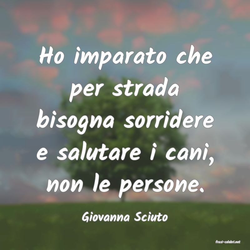 frasi di  Giovanna Sciuto
