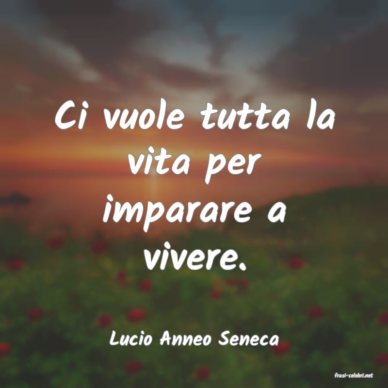 frasi di  Lucio Anneo Seneca
