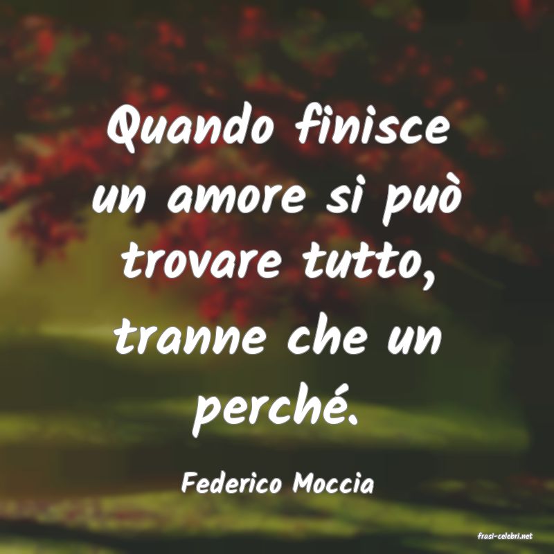 frasi di  Federico Moccia
