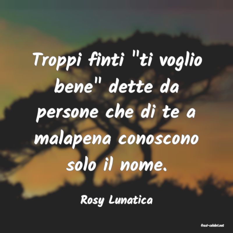 frasi di  Rosy Lunatica
