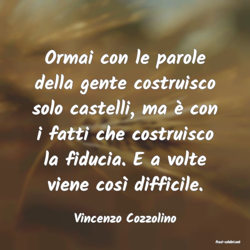 frasi di  Vincenzo Cozzolino
