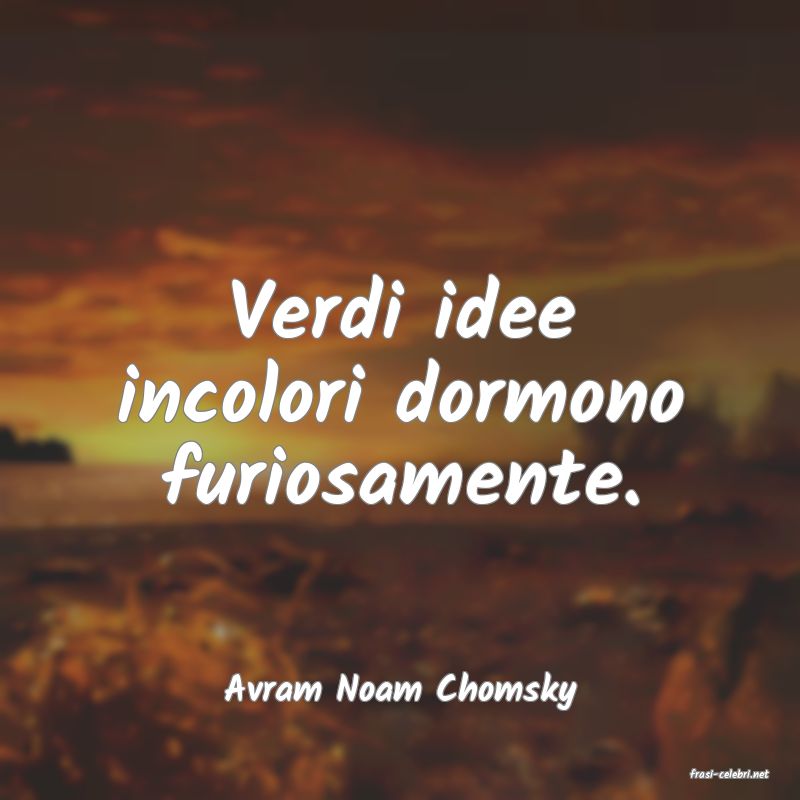 frasi di  Avram Noam Chomsky

