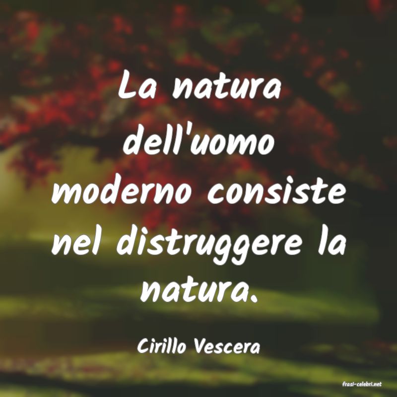 frasi di  Cirillo Vescera
