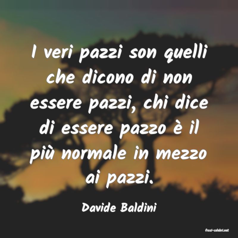 frasi di  Davide Baldini
