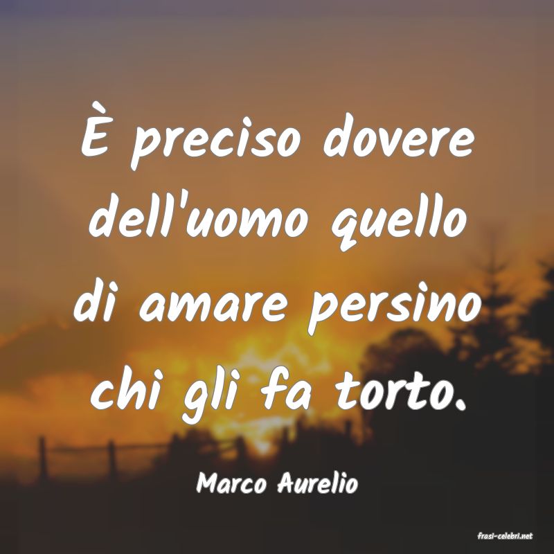 frasi di  Marco Aurelio
