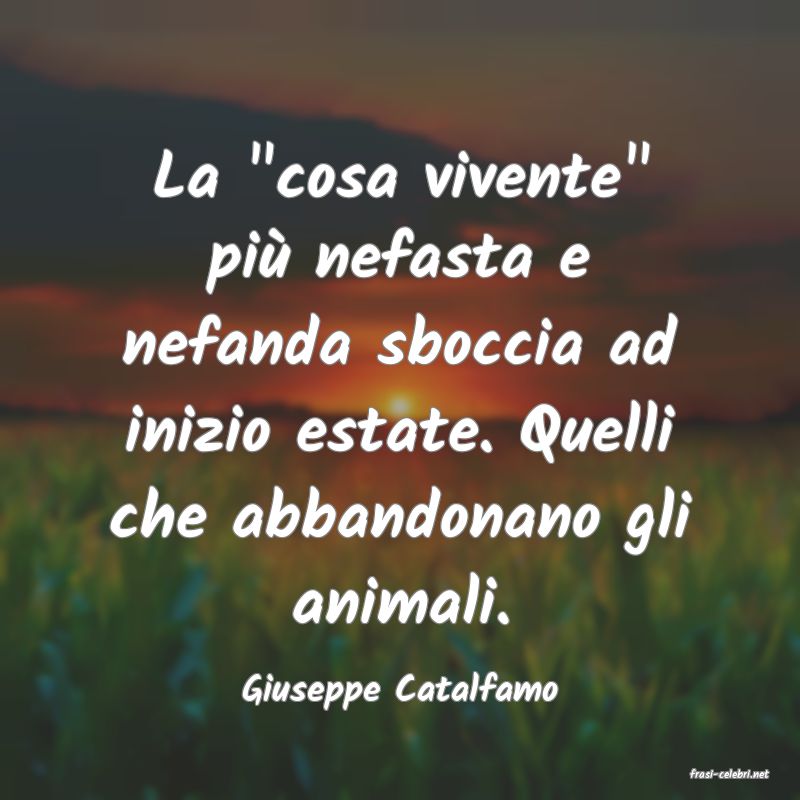 frasi di  Giuseppe Catalfamo
