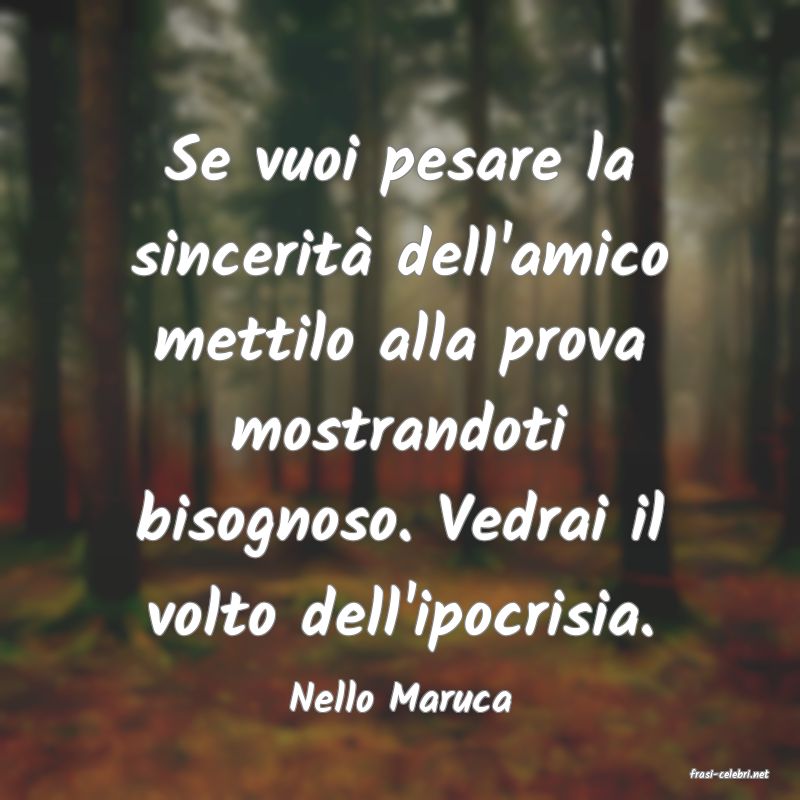 frasi di  Nello Maruca
