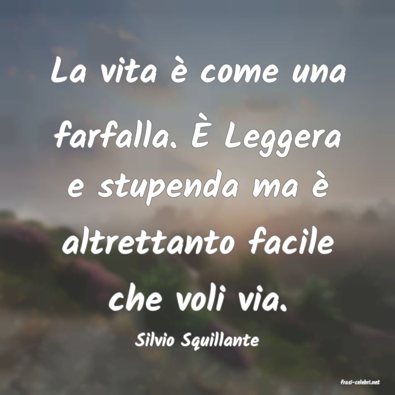 frasi di  Silvio Squillante
