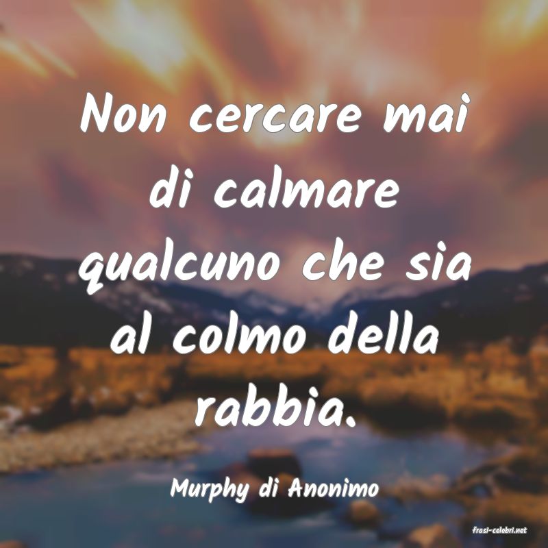 frasi di Murphy di Anonimo