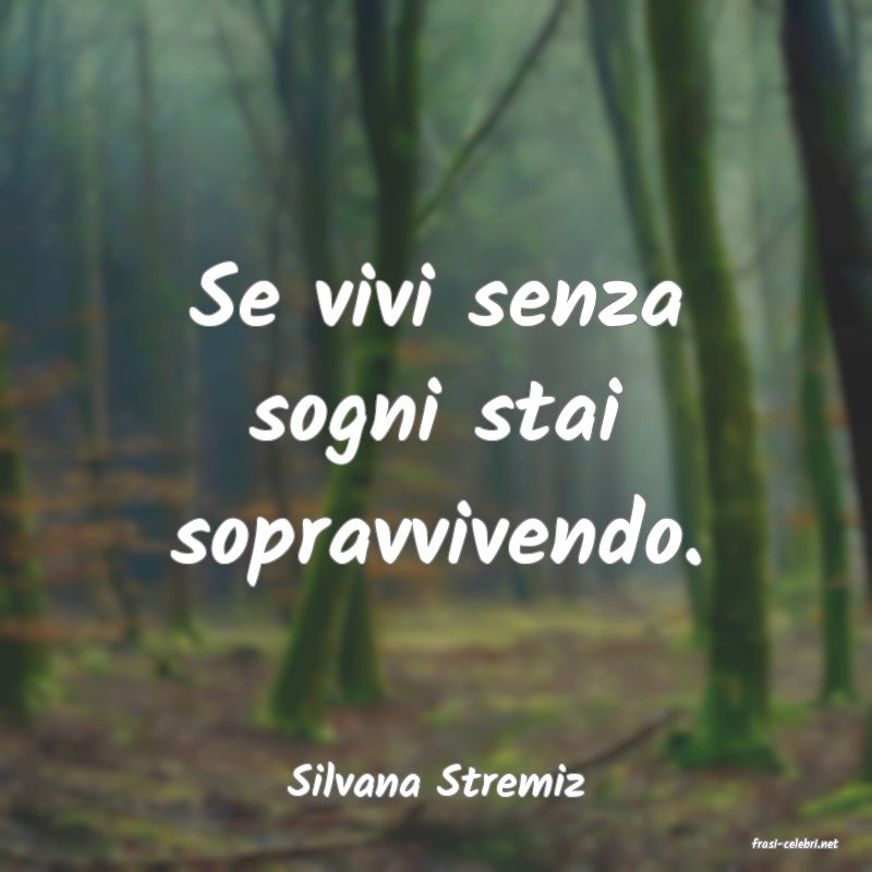 frasi di Silvana Stremiz