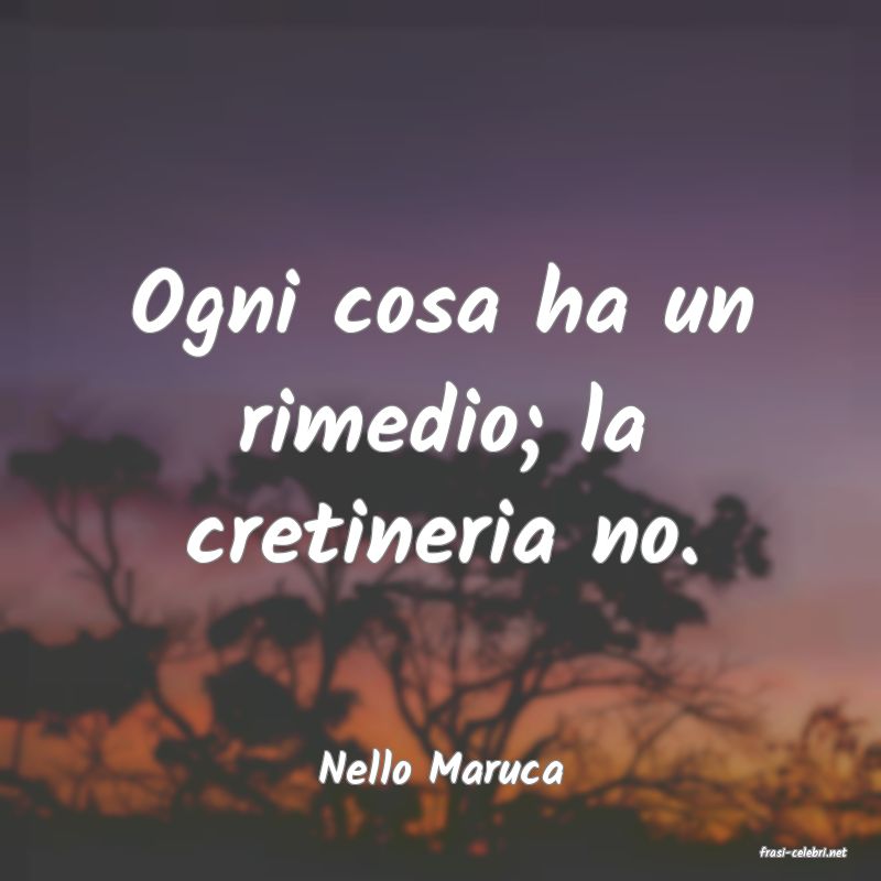 frasi di  Nello Maruca

