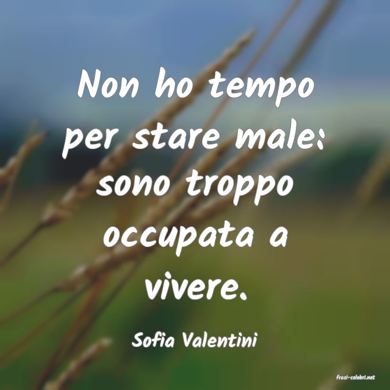 frasi di  Sofia Valentini

