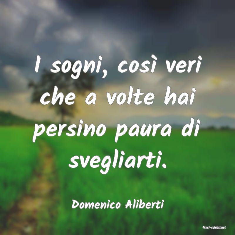 frasi di  Domenico Aliberti
