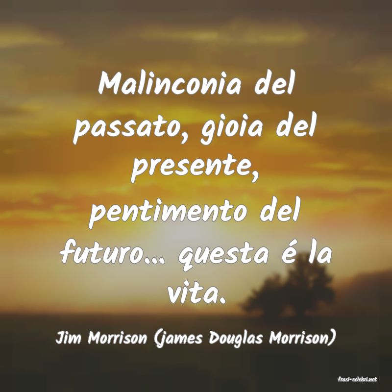 frasi di  Jim Morrison (james Douglas Morrison)
