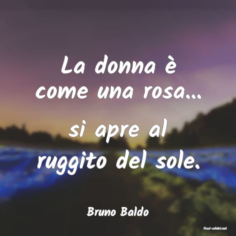 frasi di Bruno Baldo