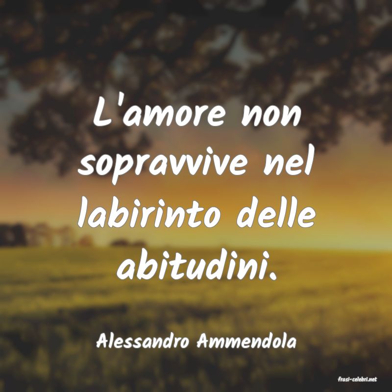 frasi di  Alessandro Ammendola
