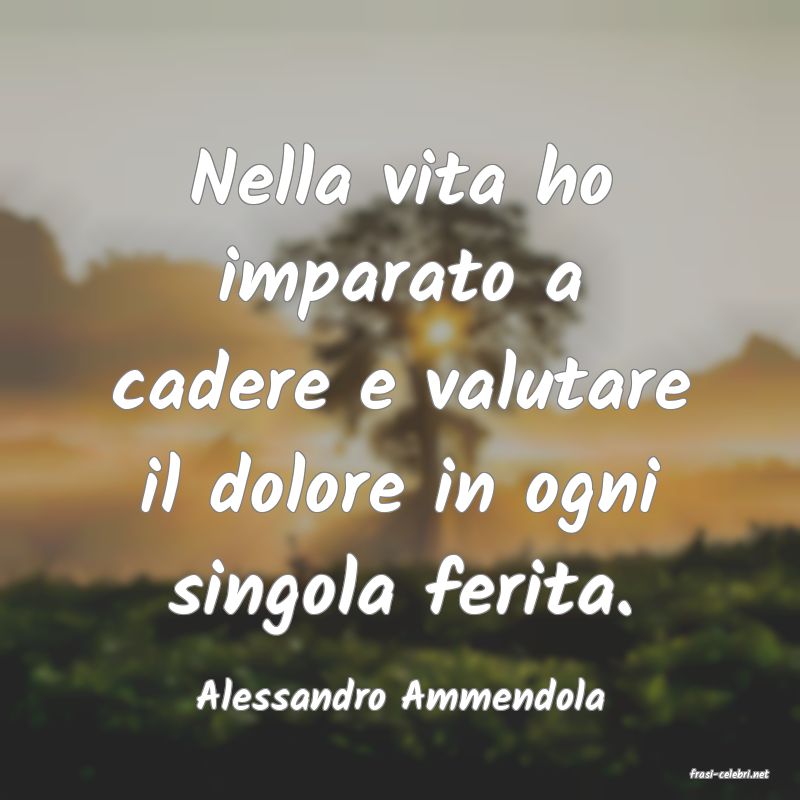frasi di  Alessandro Ammendola
