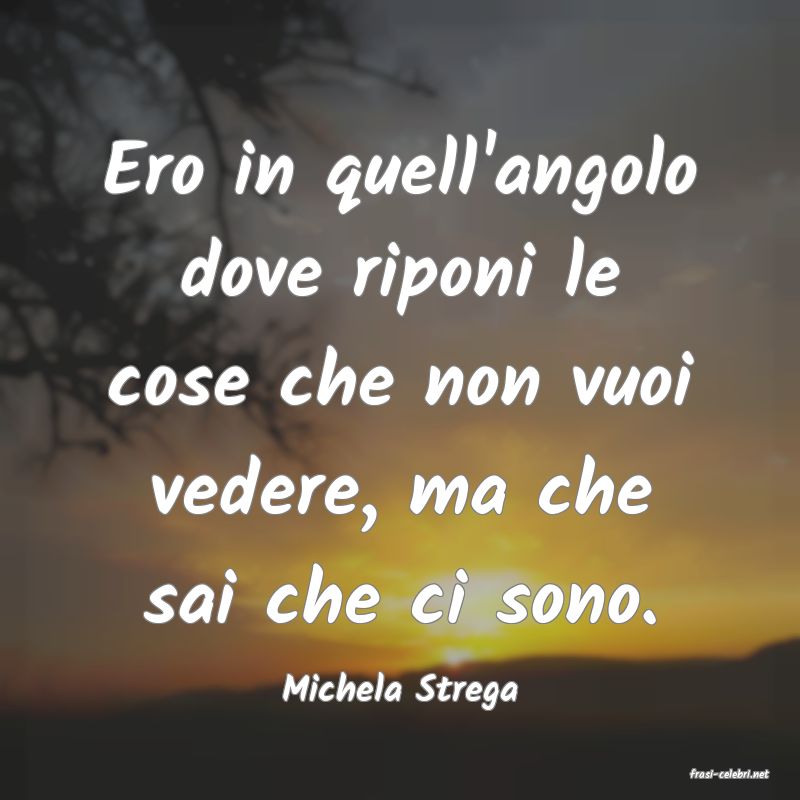 frasi di  Michela Strega

