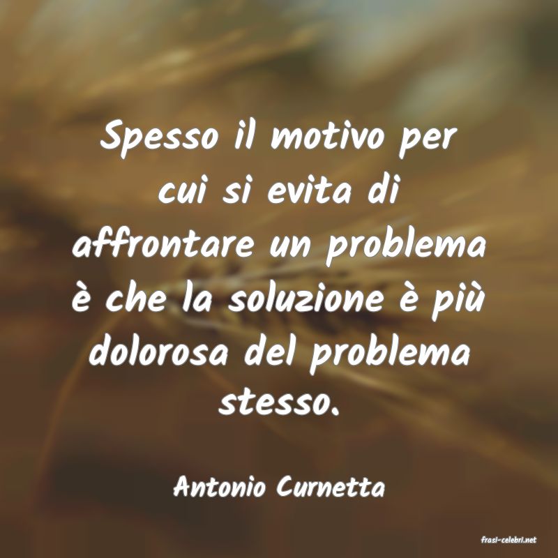 frasi di  Antonio Curnetta
